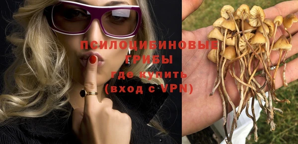ПСИЛОЦИБИНОВЫЕ ГРИБЫ Бугульма
