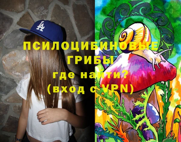 марки lsd Бородино