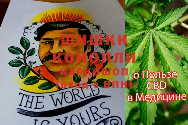 ПСИЛОЦИБИНОВЫЕ ГРИБЫ Бугульма