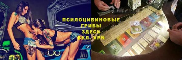 марки lsd Бородино